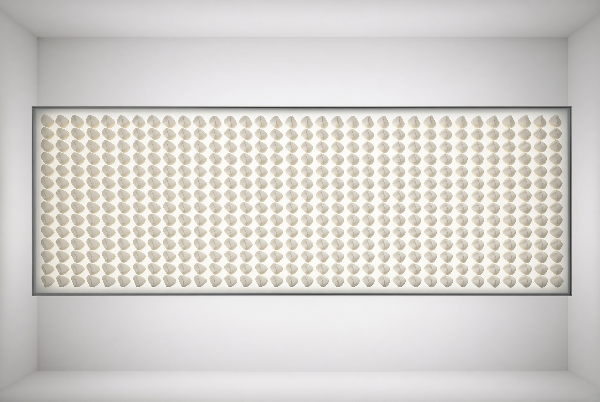 A dense rectangular grid of intact porcelain cookies on an illuminated plane.