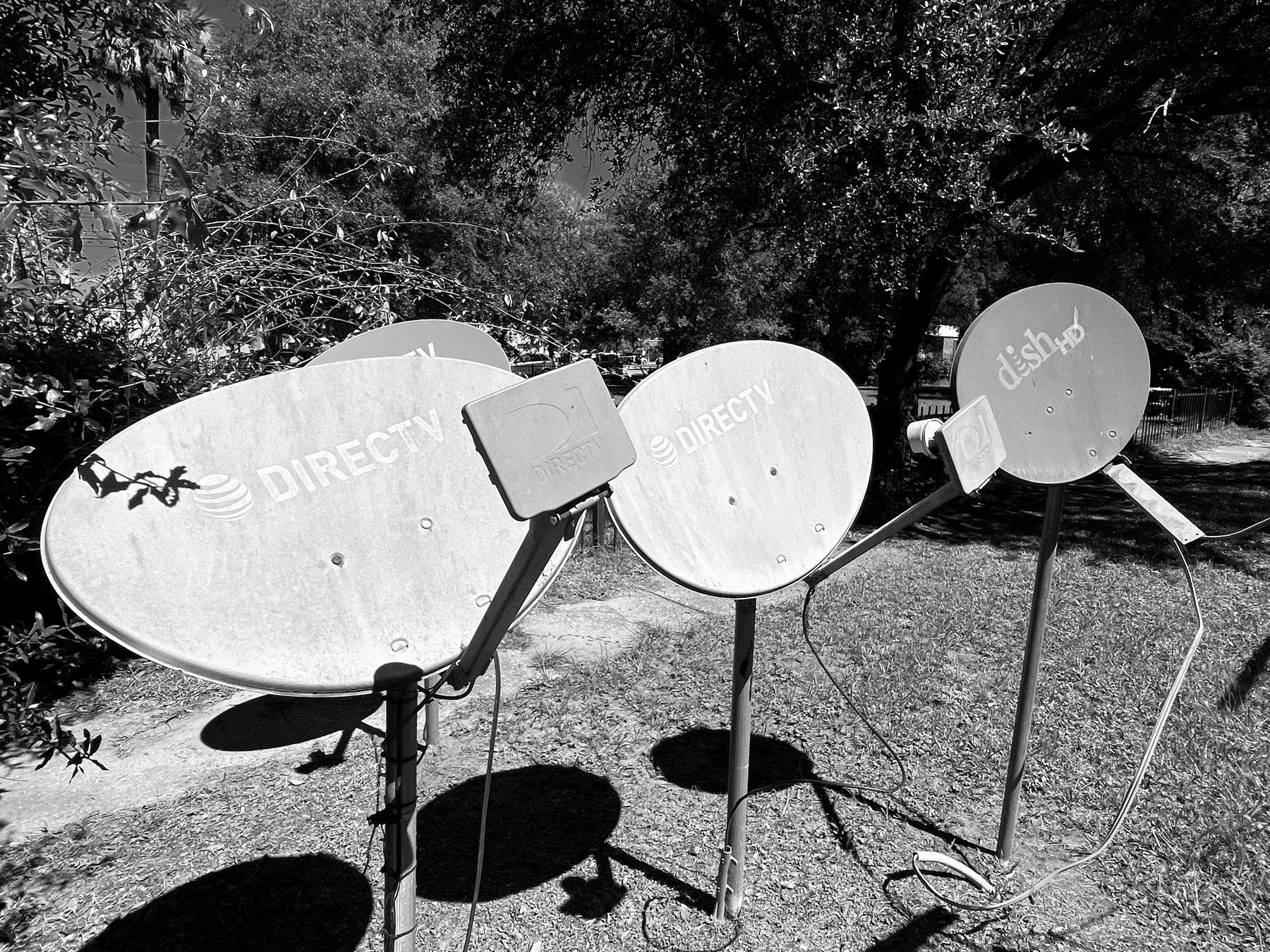Yamacraw Village, Savannah. Photograph 13 of 38 by Jonathan Vasata.