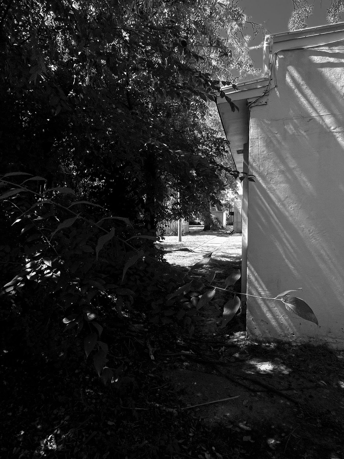 Yamacraw Village, Savannah. Photograph 15 of 38 by Jonathan Vasata.