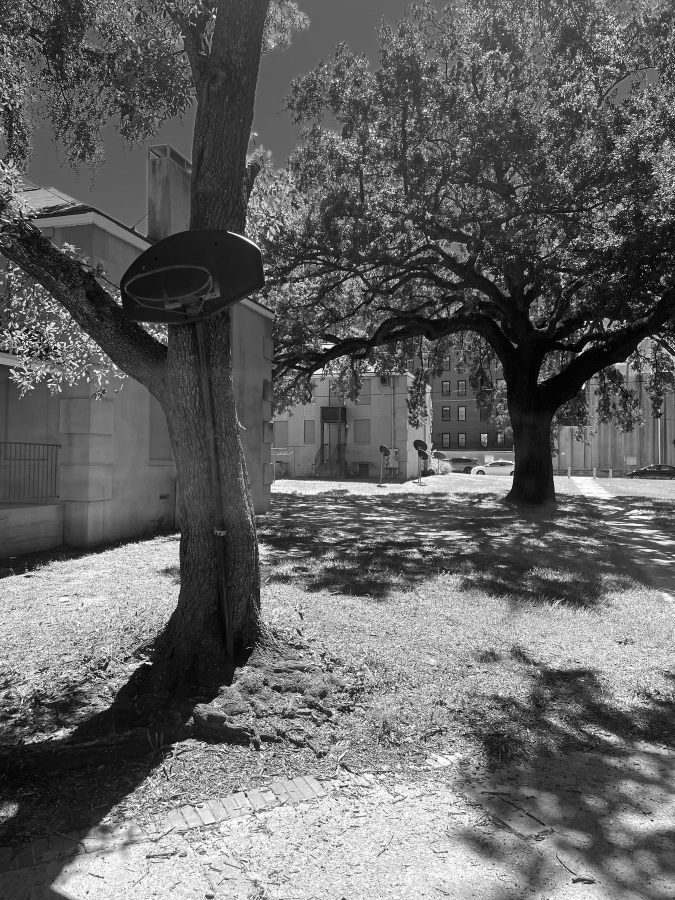 Yamacraw Village, Savannah. Photograph 21 of 38 by Jonathan Vasata.