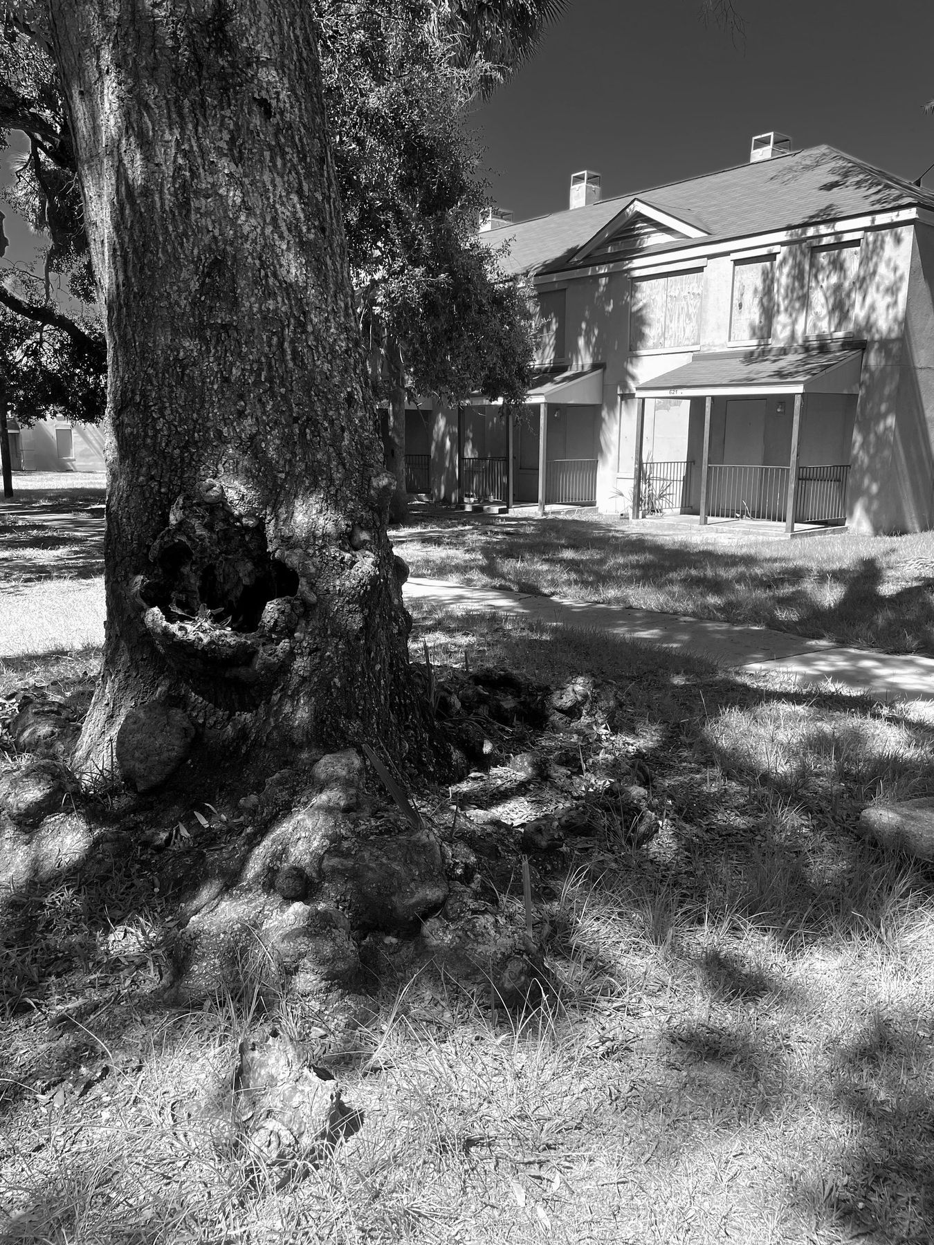 Yamacraw Village, Savannah. Photograph 23 of 38 by Jonathan Vasata.