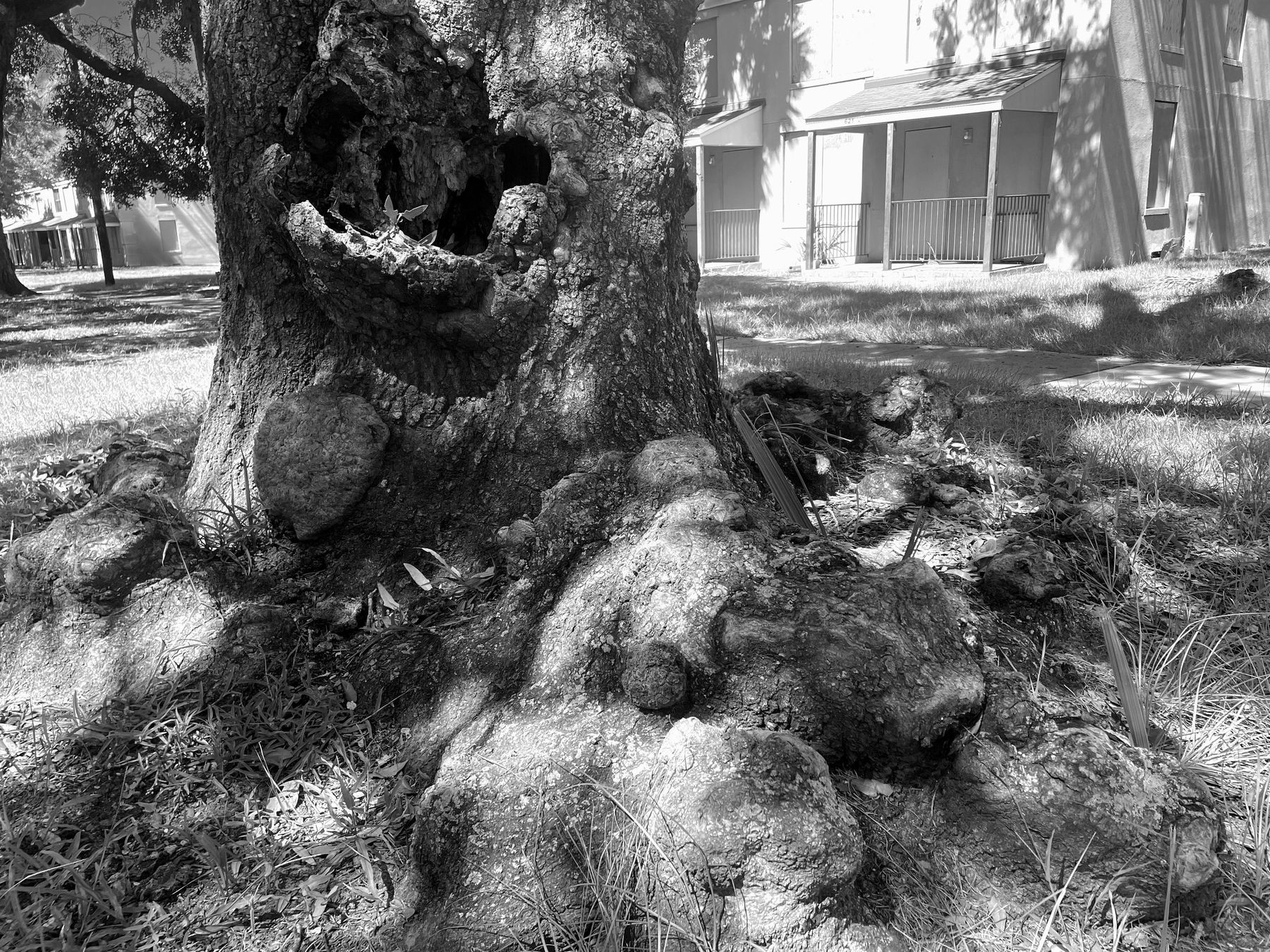 Yamacraw Village, Savannah. Photograph 24 of 38 by Jonathan Vasata.