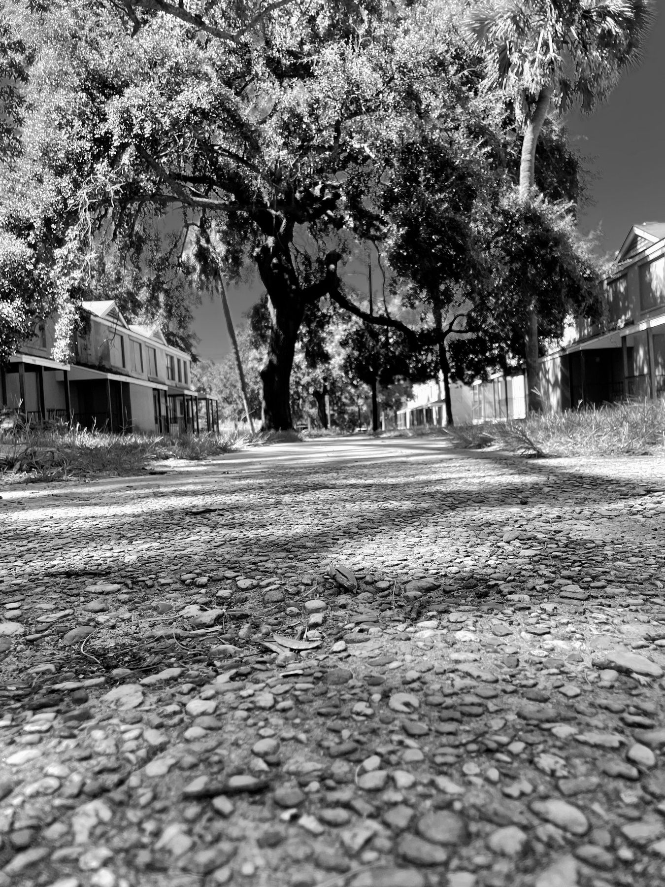 Yamacraw Village, Savannah. Photograph 27 of 38 by Jonathan Vasata.