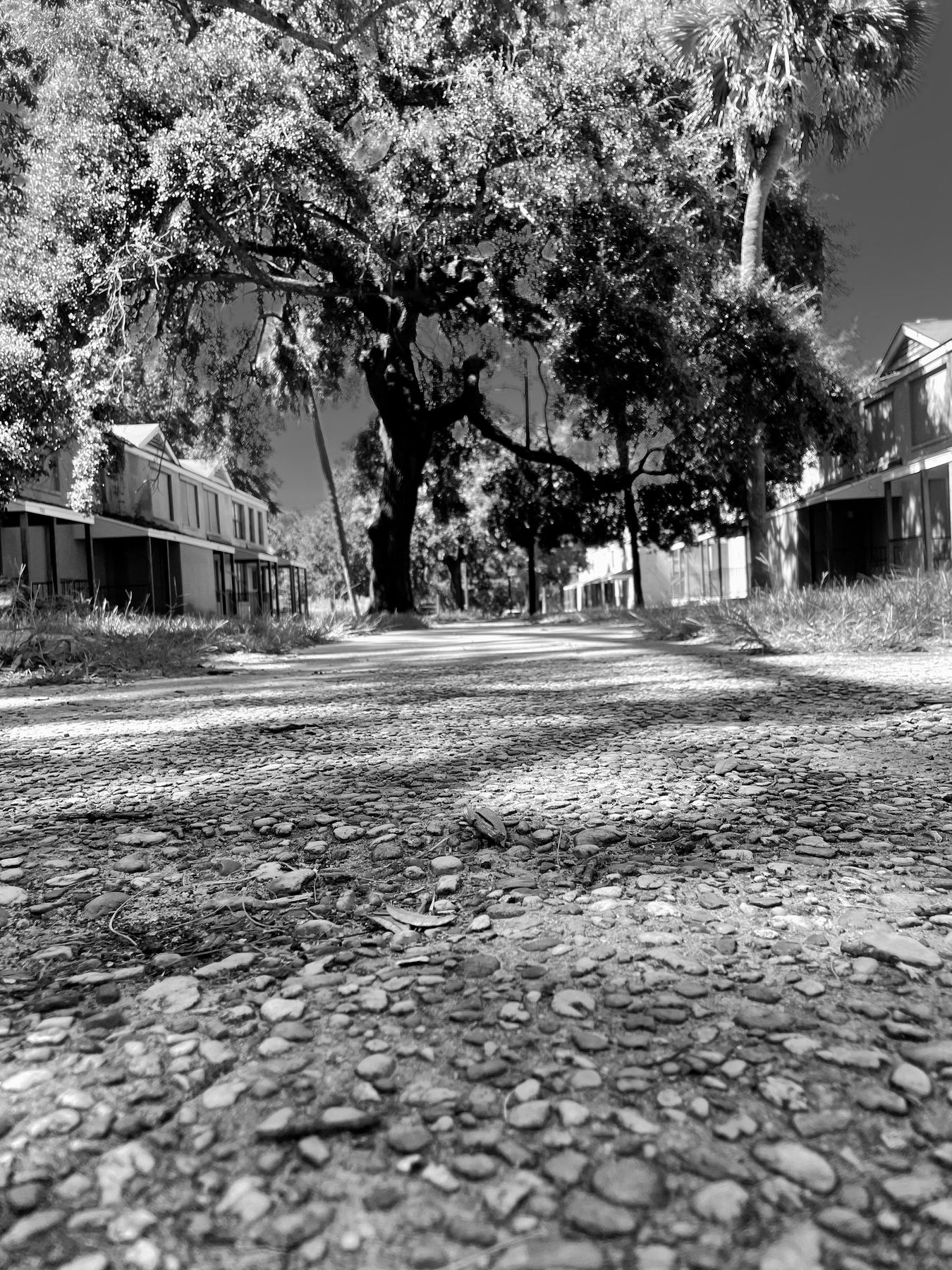 Yamacraw Village, Savannah. Photograph 28 of 38 by Jonathan Vasata.