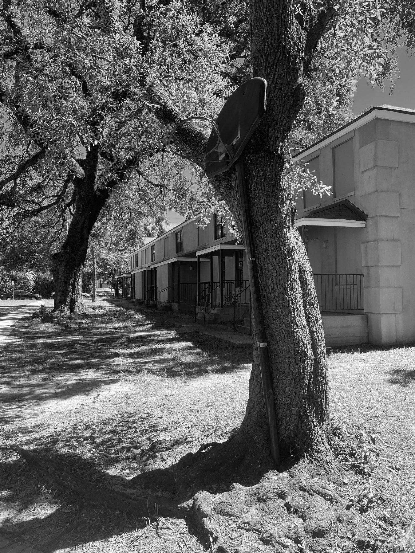 Yamacraw Village, Savannah. Photograph 29 of 38 by Jonathan Vasata.